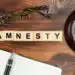 Amnesty - Pratama Institute