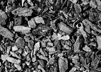 Wacana Windfall Profit Tax Batu Bara, Pengamat: Harus Benar-Benar Dihitung