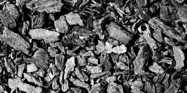 Wacana windfall profit tax baru bara (1) - Pratama Institute Wacana Windfall Profit Tax Batu Bara, Pengamat: Harus Benar-Benar Dihitung