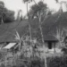 - Pratama Institute Perang Blasting di Kamang 1908