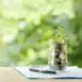 Ilustrasi Green Finance