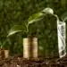 plants-with-coins-stacked-dirt-banknote - Pratama Institute #image_title