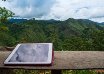 Why Sustainability Reports Need to Be Assured