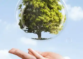 Sustainability Report