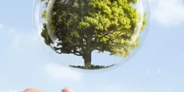 Sustainability Report