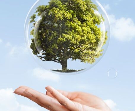 Sustainability Report