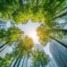 Sustainability Report