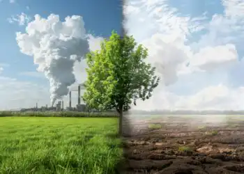 Net Zero