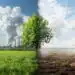 Net Zero