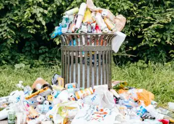 Sampah